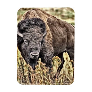 Abstract Western Buffalo Magnet