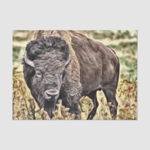Abstract Western Buffalo Tissue Paper