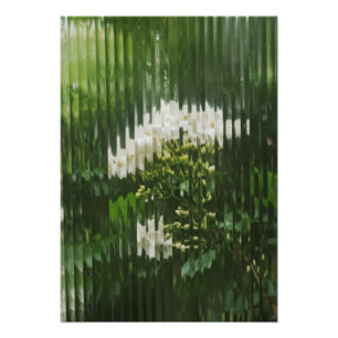 Abstract White Flowers through Reeded Glass Photo Print