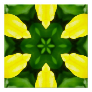 ABSTRACT YELLOW AND GREEN DRAWING. SAMER BRASIL. 3 POSTER