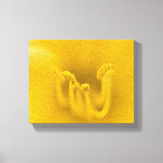 Abstract Yellow Hibiscus Flower Canvas Print (Front)