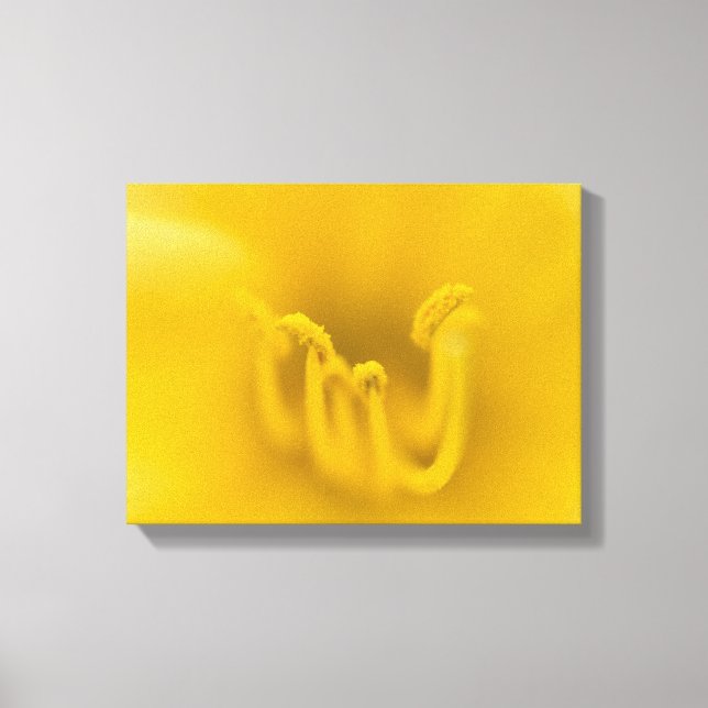 Abstract Yellow Hibiscus Flower Canvas Print (Front)