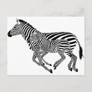 Abstract Zebras Mother and Child Postcard