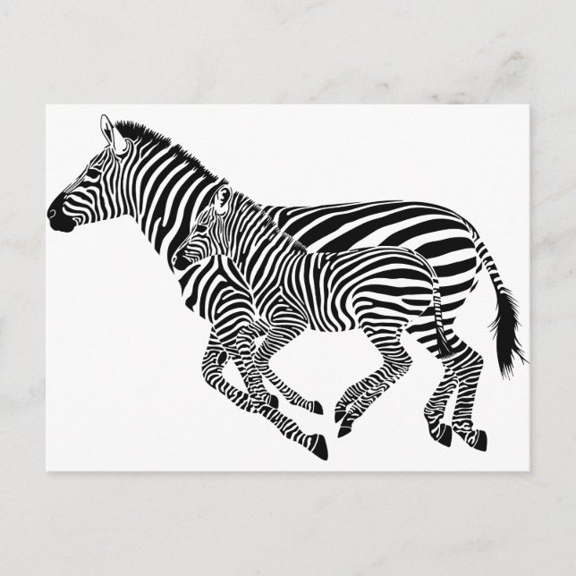 Abstract Zebras Mother and Child Postcard (Front)