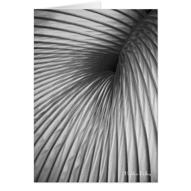 Abstraction Extraction blank notelet / card (Front)