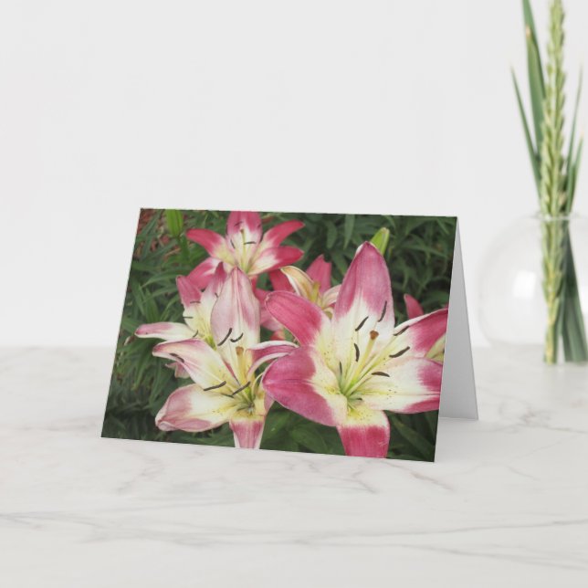 Abundance Greeting Card (Front)