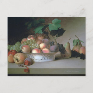 Abundance of Fruit Postcard