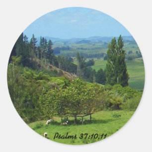 Abundance of Peace Sticker