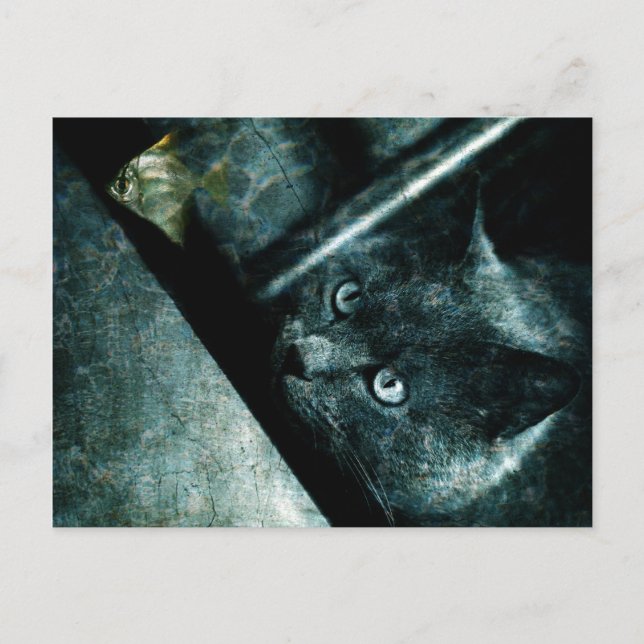 Abyss cat - Postcard (Front)