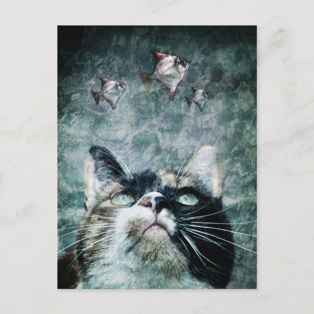 Abyss cat Postcard (Front)