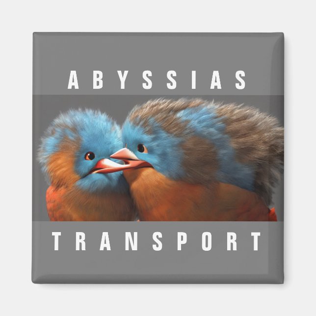 ABYSSIAS_TRANSPORT MAGNET (Front)