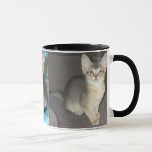 Abyssinian blue male kitten mug