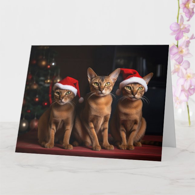 Abyssinian by the Fireplace Christmas Card (Orchid)