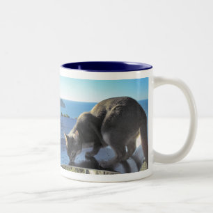 Abyssinian Cat by the Sea Two-Tone Coffee Mug