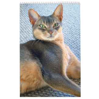 Abyssinian Cat Calendar (customise any year)