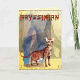 Abyssinian Cat Card
