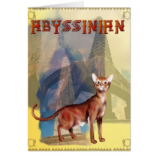 Abyssinian Cat Card