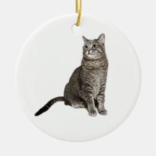 Abyssinian Cat Ceramic Tree Decoration
