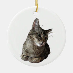 Abyssinian Cat  Ceramic Tree Decoration