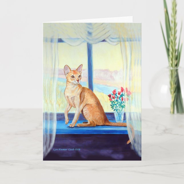 Abyssinian Cat Greeting Cards (Front)
