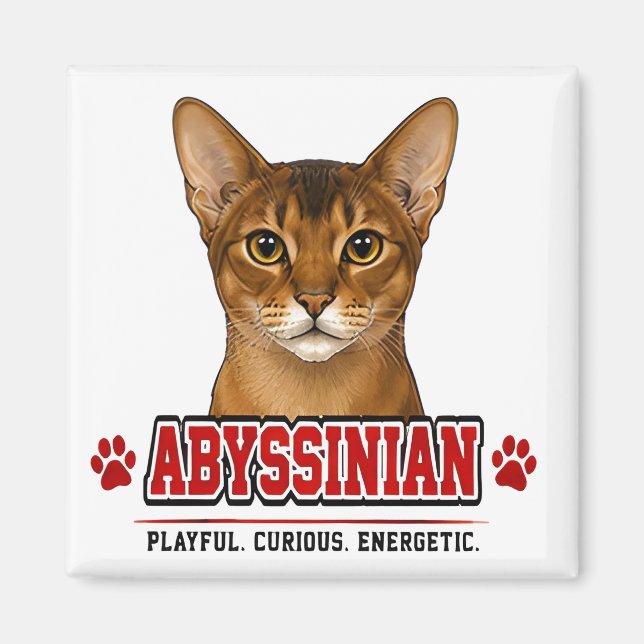 🐾 Abyssinian Cat Owner Family Pride 🐾 Magnet (Front)
