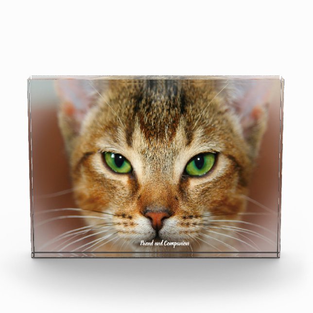 Abyssinian Cat Photo Block (Front)