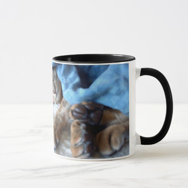 Abyssinian Cat Sleeping Mug (Right)