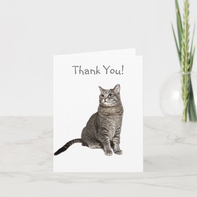 Abyssinian Cat Thank You Card (Front)