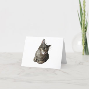 Abyssinian Cat Thank You Card
