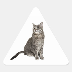 Abyssinian Cat Triangle Sticker