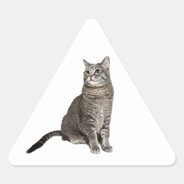 Abyssinian Cat Triangle Sticker (Front)