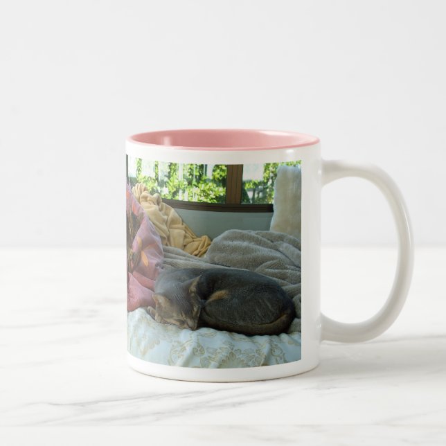 Abyssinian Cats Two-Tone Coffee Mug (Right)