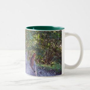 Abyssinian Cats Two-Tone Coffee Mug