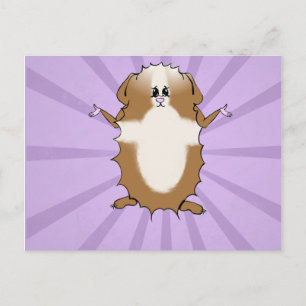 Abyssinian Guinea Pig Comic Blank Postcard
