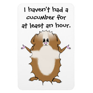Abyssinian Guinea Pig Magnet