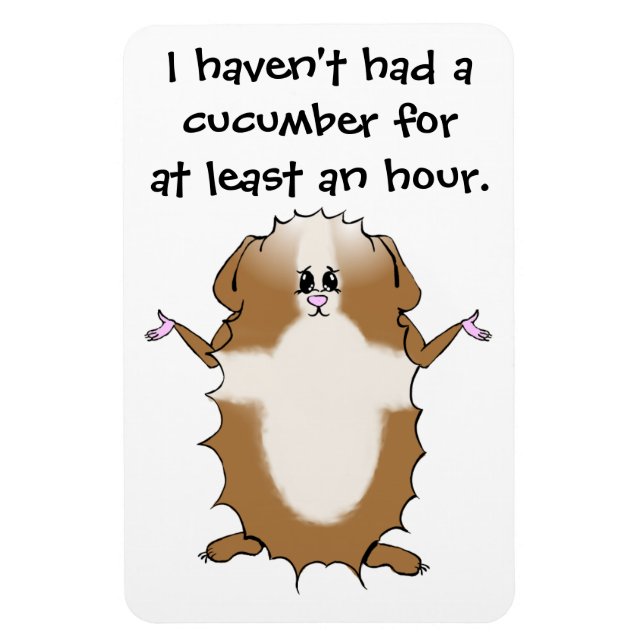 Abyssinian Guinea Pig Magnet (Vertical)