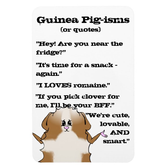 Abyssinian Guinea Pig Sayings Magnet (Vertical)