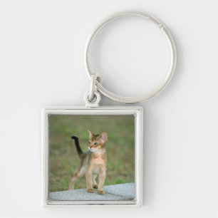 Abyssinian Key Ring