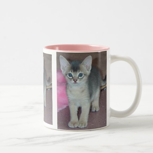 Abyssinian Kitten Six Weeks Old Two-Tone Coffee Mug (Right)