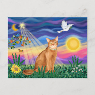 Abyssinian (red 18) - Twilight (horiz) Postcard
