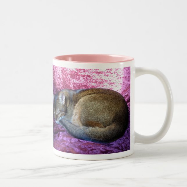 Abyssinian Ruddy Female Cat Taking it Easy Two-Tone Coffee Mug (Right)