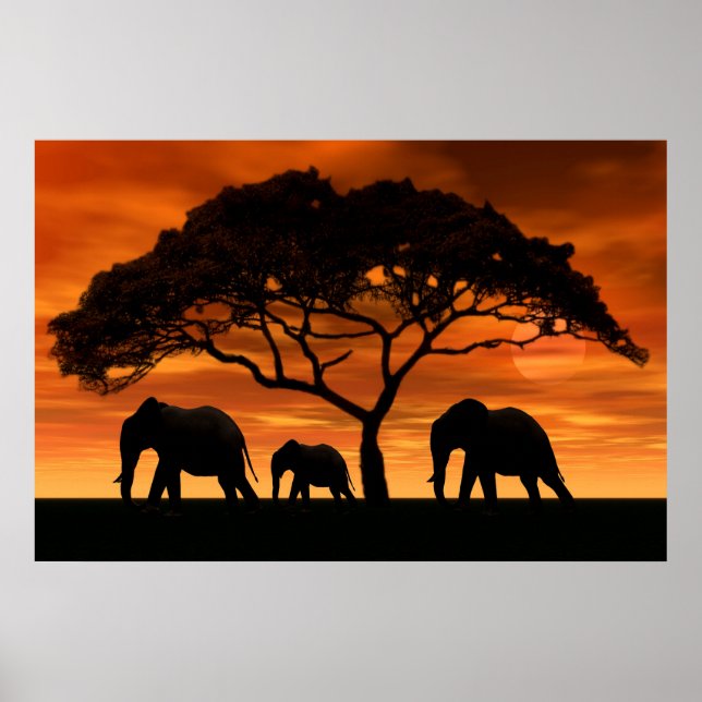 Acacia Elephant Sunset Poster (Front)