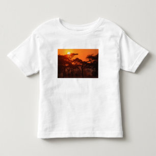 Acacia forest silhouetted at sunset, Tarangire Toddler T-Shirt