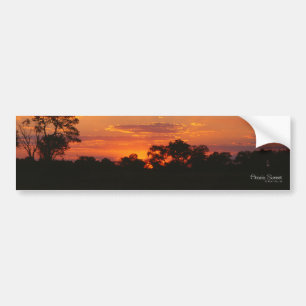Acacia Sunset Bumper Stickers