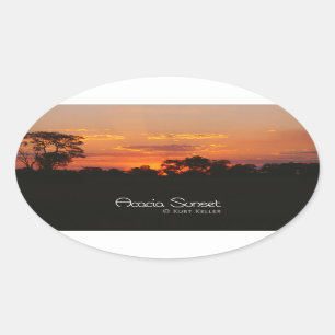 Acacia Sunset Oval Sticker