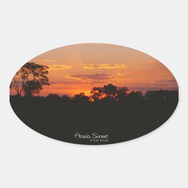 Acacia Sunset Oval Stickers (Front)