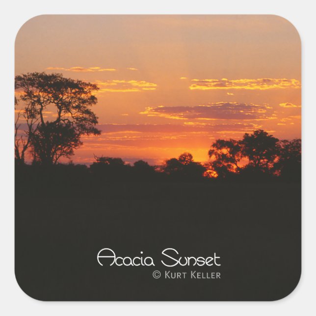 Acacia Sunset Square Sticker (Front)