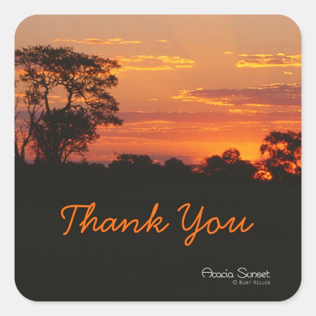 Acacia Sunset Thank You Stickers (Front)