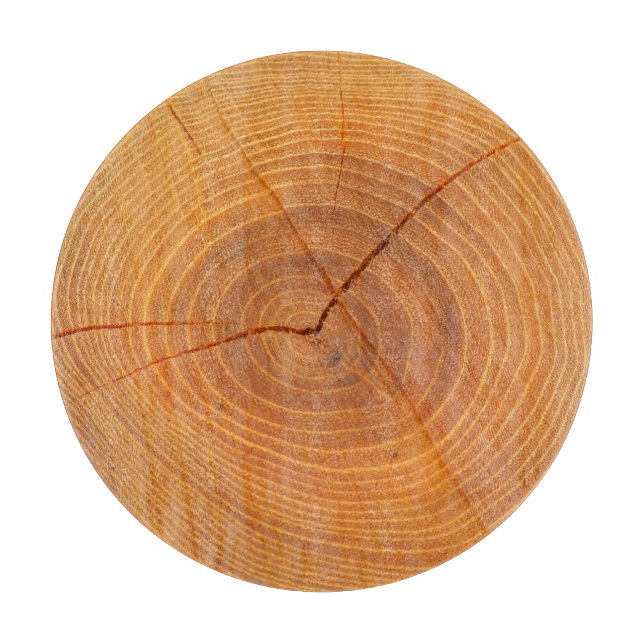 Acacia Tree Cross Section Glass Chopping Board (Front)