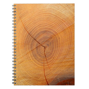 Acacia Tree Cross Section Photo Notebook